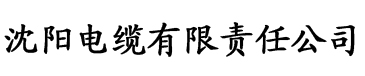 神马影院达达兔精品伦理区电缆厂logo